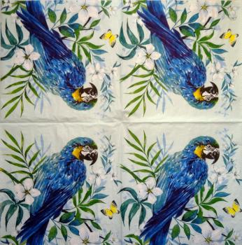 055 Parrot - 3-ply - Converting 2007 - Illustrateo Escapes
